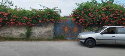 IMG_20250619_120621