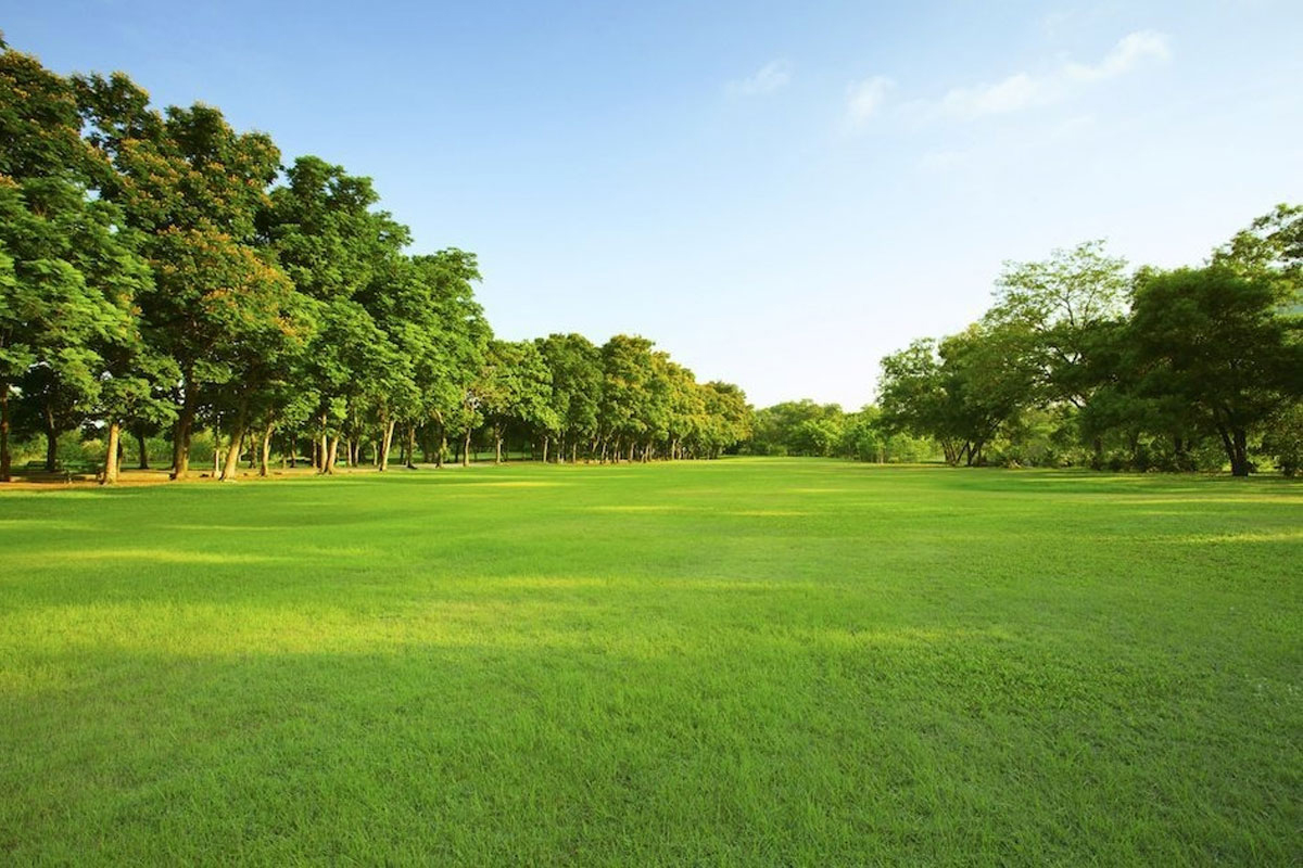 خرید زمین شهرکی در مازندران؛ امنیت، امکانات و آینده روشن