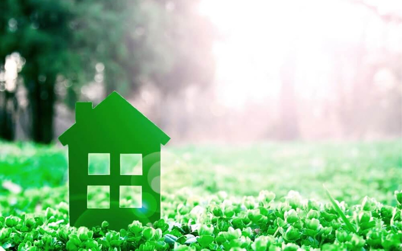 خرید زمین شهرکی در مازندران؛ امنیت، امکانات و آینده روشن خرید زمین شهرکی در مازندران؛ امنیت، امکانات و آینده روشن