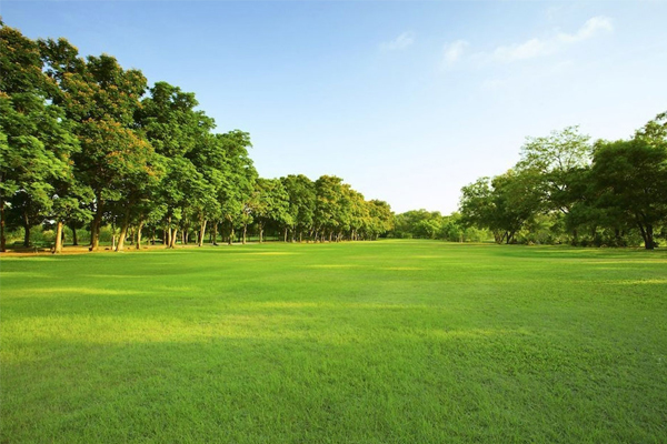 خرید زمین شهرکی در مازندران؛ امنیت، امکانات و آینده روشن