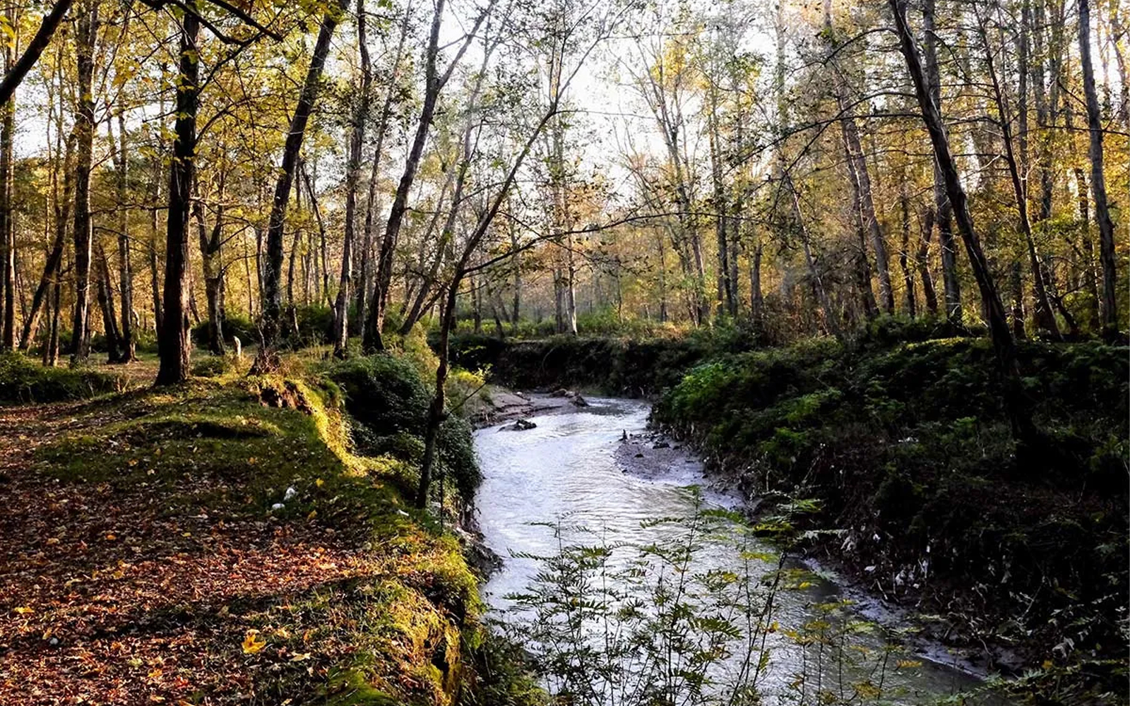 زمینهای اطراف جادههای اصلی چمستان؛ انتخابی استراتژیک برای آینده زمینهای اطراف جادههای اصلی چمستان؛ انتخابی استراتژیک برای آینده